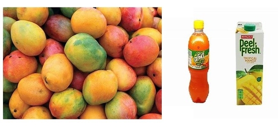 1-3 Ton/h Mango Pretreating Line Aseptic Bag Bottle Mango Pulp Processing Machinery