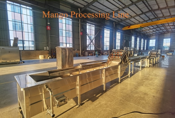 1-3 Ton/h Mango Pretreating Line Aseptic Bag Bottle Mango Pulp Processing Machinery