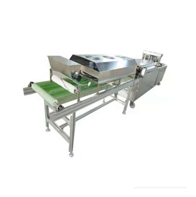 Easy Operation Silver BP-450 Commercial Tortilla Machine For Tortilla Production