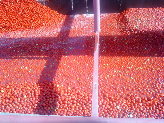 1kg Bag Packing Tomato Paste Making Machine 3 Tons Per Hour