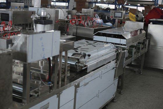 Automatic Two Extruders Tortilla Production Line Spring Roll Taco Making