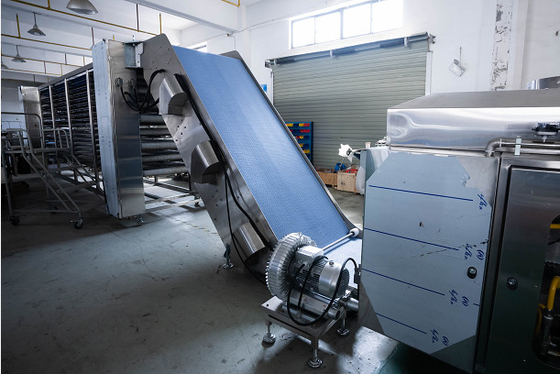 Automatic Roti Paratha Making Machine 1000 -10000 Per Hour