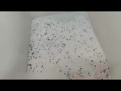 작은 색채 선별기